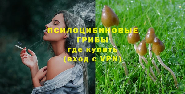 ПСИЛОЦИБИНОВЫЕ ГРИБЫ Алзамай