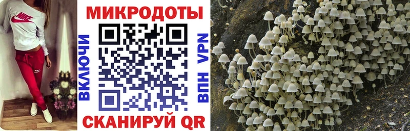 Галлюциногенные грибы мицелий  ссылка на мегу   Дно 
